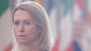 Kallas, 'cedere territorio dell'Ucraina è trappola di Putin'