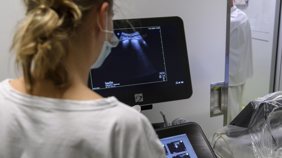 Ecografia 4D mostra il flusso sanguigno di organi interi