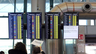 Di Palma (Enac), 'nessun problema di carburante negli aeroporti principali'