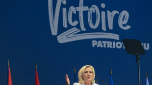 Le Pen, Orban lambast EU at far-right rally in France