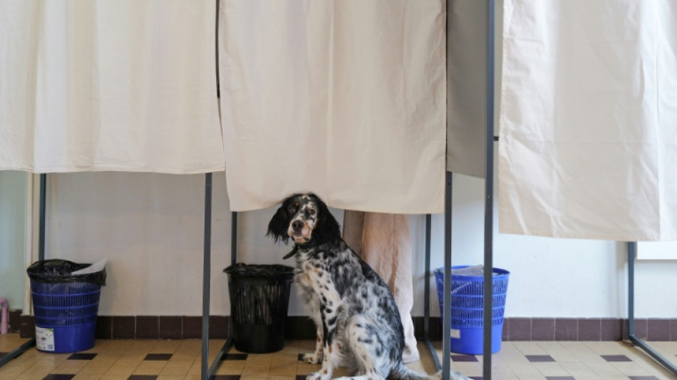 Los perros nos acompa&ntilde;an desde hace 16.000 a&ntilde;os