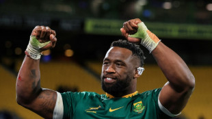 Kolisi warns 'resilient' Boks are braced for Puma mauling