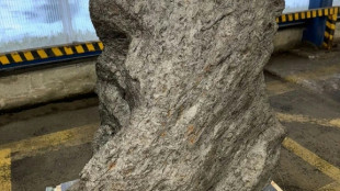 Russia says thwarted smuggling of giant meteorite to UK