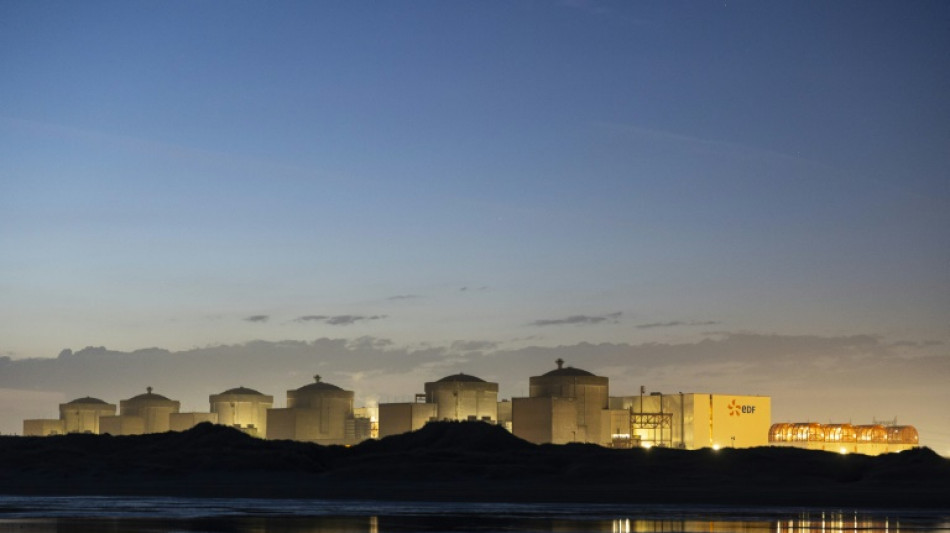 Quatre unités de la centrale nucléaire de Gravelines à l'arrêt à cause de méduses