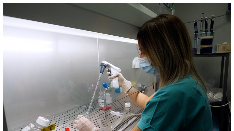 Verso virus ingegnerizzati per trasportare farmaci al cervello