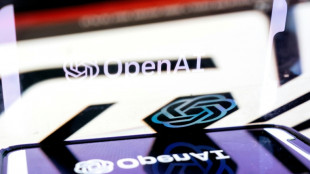 Premi&egrave;re victoire judiciaire des auteurs allemands contre OpenAI