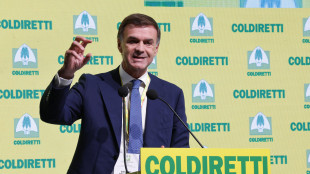 Prandini (Coldiretti), 'con la guerra due miliardi di export a rischio'