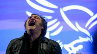 Five things to know about Argentina's pivotal midterm election