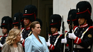 Italy, other EU states urge rethink on European rights convention