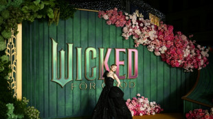 Nueve días de cárcel contra el australiano que se abalanzó sobre Ariana Grande