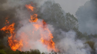 Los incendios en Espa&ntilde;a se cobran la vida de una tercera persona