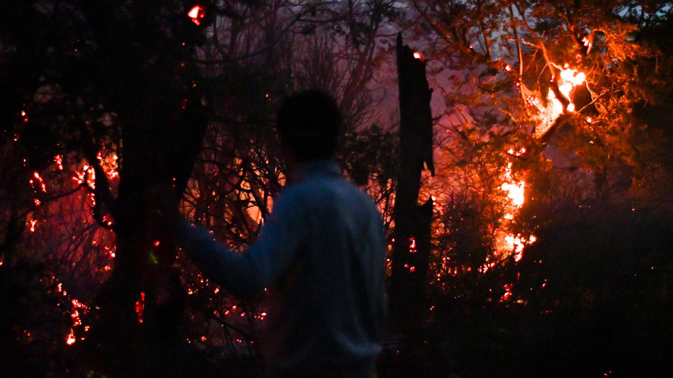 Argentina, bruciati oltre 60mila ettari in Patagonia