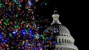 Congresso dos EUA negocia contra o relógio para evitar paralisação