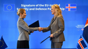 L'UE signe un partenariat de s&eacute;curit&eacute; avec l'Islande