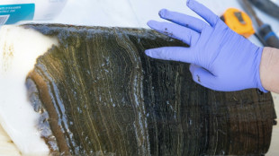 El Antropoceno no es una nueva &eacute;poca geol&oacute;gica, dice una entidad cient&iacute;fica de referencia