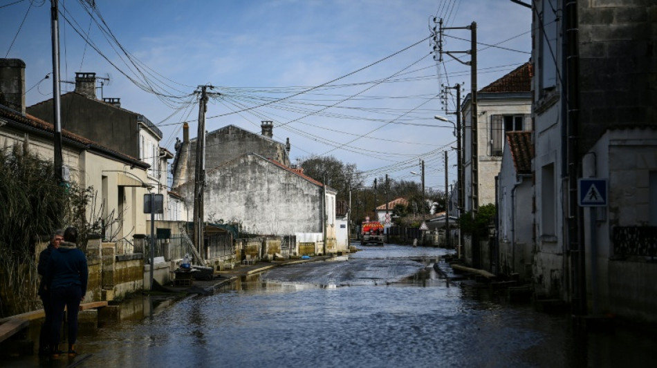 France: un mois de f&eacute;vrier "historique" et "anormalement" chaud et pluvieux