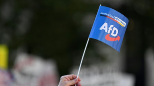 Ex-Unionspolitiker raten zu Öffnung gegenüber AfD - und stoßen auf Widerspruch