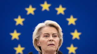 La UE agilizar&aacute; la revisi&oacute;n de la prohibici&oacute;n de vender autos de combusti&oacute;n, ante la presi&oacute;n del sector