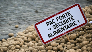 Les agriculteurs tonnent contre l'accord avec le Mercosur, &eacute;chauffour&eacute;es devant le Parlement europ&eacute;en