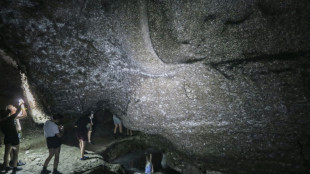 Descubren una telaraña gigante con 111.000 arañas en una gruta de Grecia