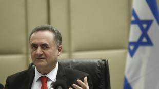 Katz, 'l'Idf rester&agrave; nella zona di sicurezza a Gaza per sempre'