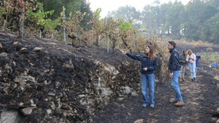 La bajada de las temperaturas ayuda a los bomberos a combatir incendios en Espa&ntilde;a