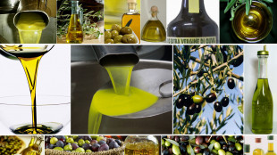 Arriva il piano nazionale olio, vale quasi 500 milioni