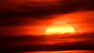 Viele Unternehmen im Osten sehen Demokratie in Gefahr - sind aber defensiver