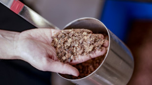 Una f&aacute;brica alemana almacena carbono en c&aacute;scaras de granos de cacao