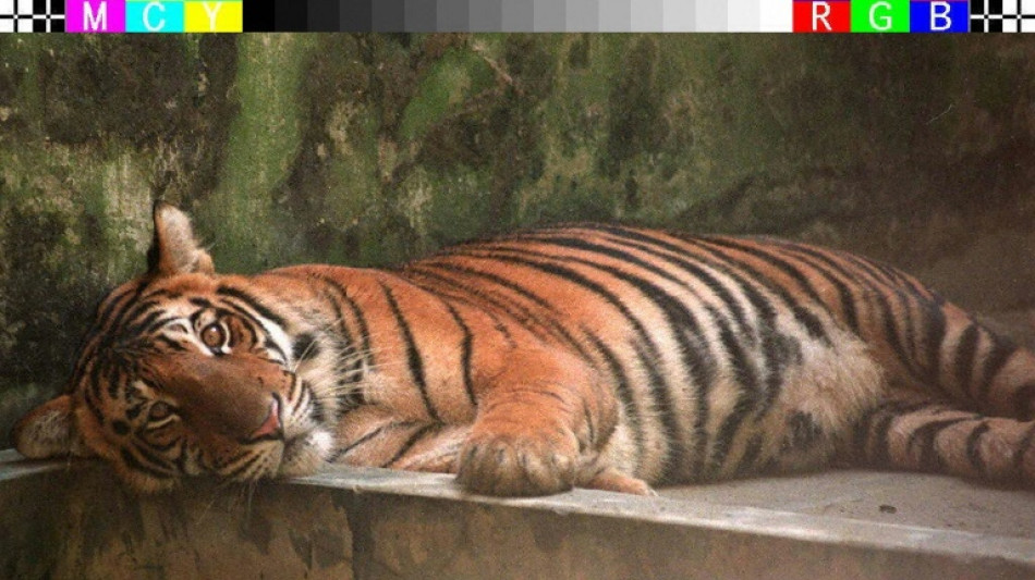 La fauna salvaje v&iacute;ctima de productos qu&iacute;micos imperecederos (estudio)