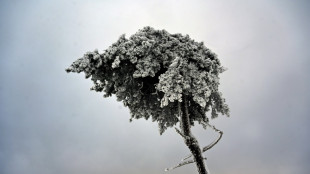 Aplazado el partido entre Bayern de M&uacute;nich y Union Berlin por fuertes nevadas