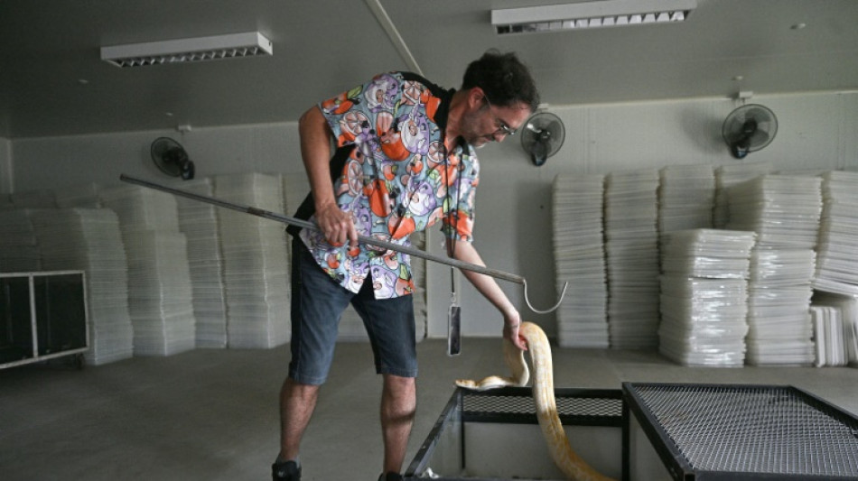 Prot&eacute;ine durable et abondante: pr&ecirc;ts &agrave; manger du serpent ?