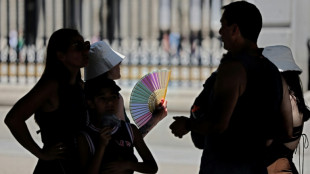 M&aacute;s de 44 &ordm;C en Espa&ntilde;a en la primera ola de calor del verano