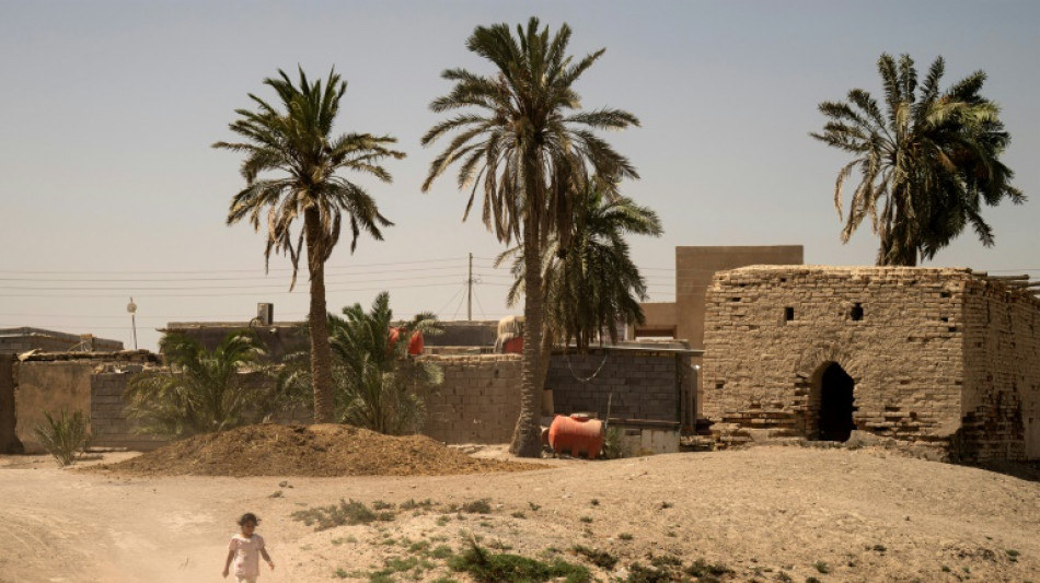 Water salinity hurting farmers, livestock in Iraq