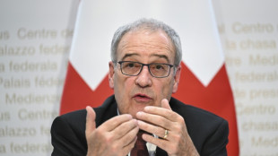 Merz empf&auml;ngt Schweizer Bundespr&auml;sidenten Parmelin im Kanzleramt