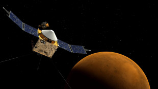 Persi i contatti con la sonda Maven, in orbita intorno a Marte