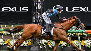 Jamie Melham on Half Yours only second woman to win Melbourne Cup