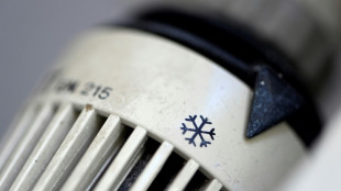 &Ouml;konomen warnen vor Inflation jenseits von f&uuml;nf Prozent