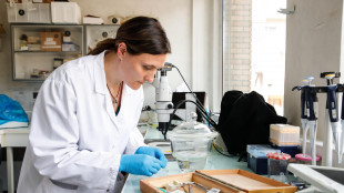 Tumore del fegato, dall'immunoterapia nuove speranze anche nelle fasi avanzate