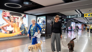 Primo volo dimostrativo Ita con cani extrasize in cabina