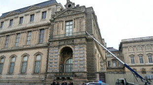 Power tool-wielding robbers flee Louvre with 'priceless' jewellery