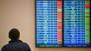 Wegen Haushaltssperre werden Inlandsflüge in den USA gestrichen 