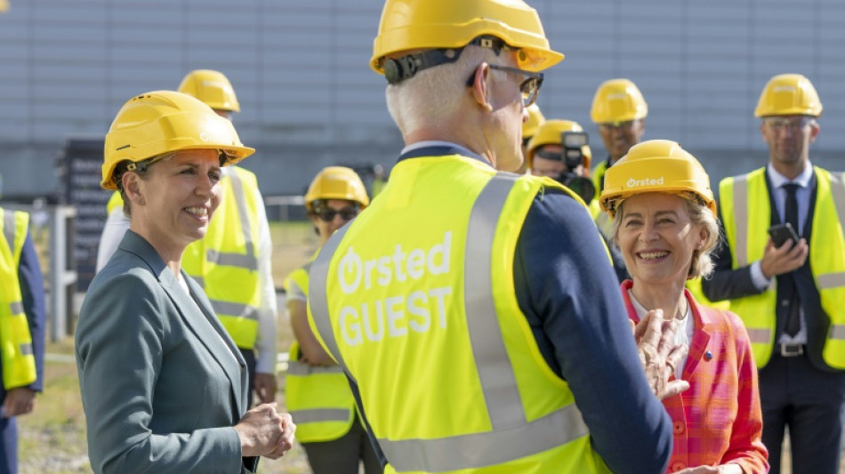 El grupo dan&eacute;s &Oslash;rsted construir&aacute; en Reino Unido el mayor parque e&oacute;lico marino del mundo