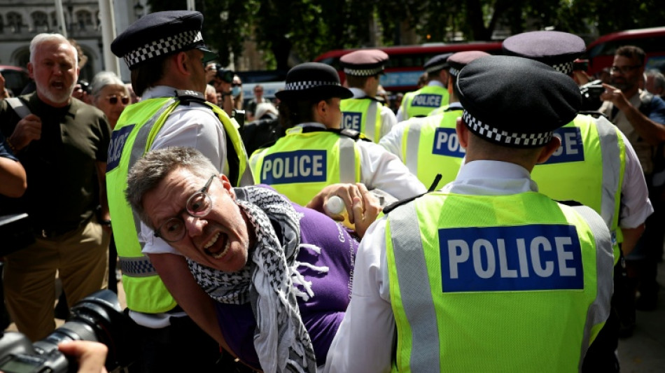 Mehr als 360 Festnahmen bei Protest für verbotene pro-palästinensische Gruppe in London