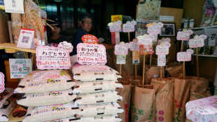 Japan inflation slows in August, rice price surges ease