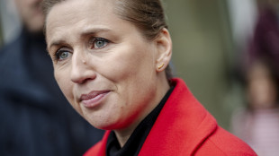 Premier danese agli Usa, 'basta minacce sulla Groenlandia'