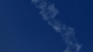 Emirati, 'non abbiamo colpito impianto desalinizzazione in Iran'