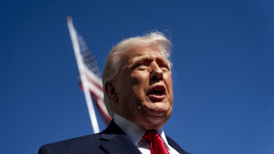 Trump, 'Gb e un paio di altri Paesi invieranno dragamine a Hormuz'