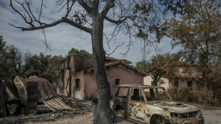 Fire-hit France region 'coming up for air' as main blaze calms