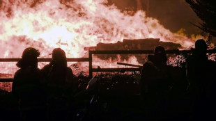 Fuertes vientos impulsan incendios forestales en el sur de Chile